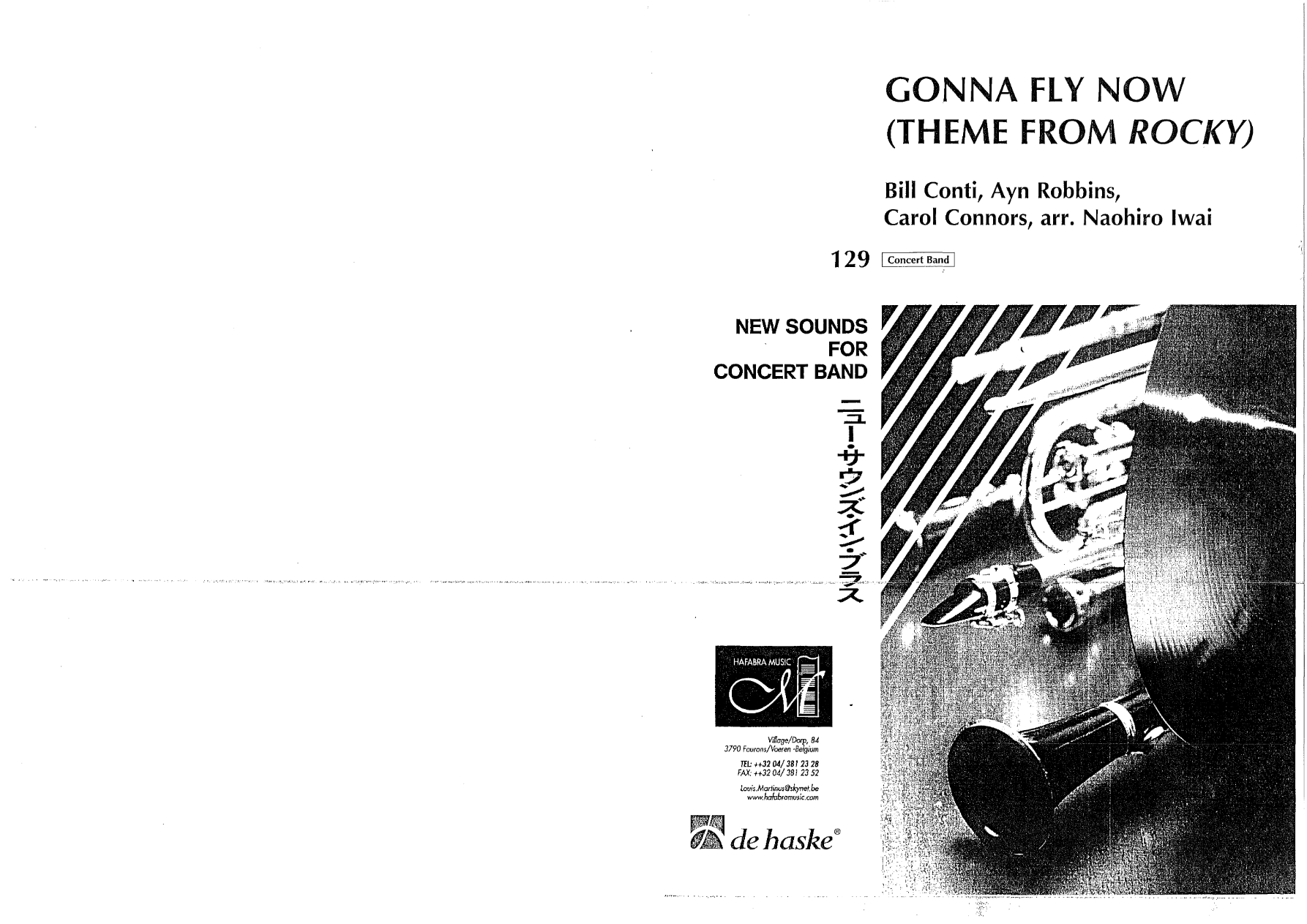 Gonna Fly Now (N.Iwai) — sheet music preview