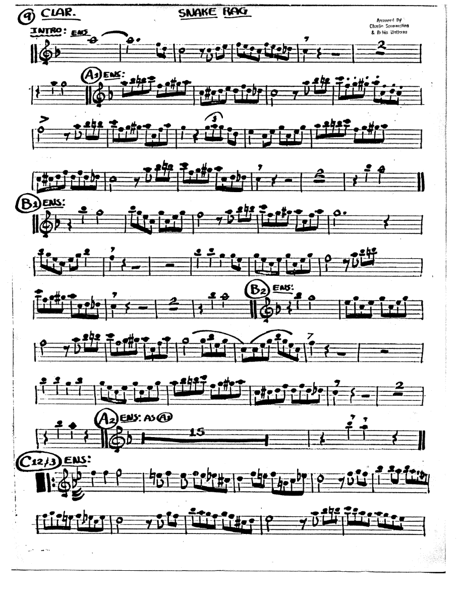 Snake Rag - Sonnanstine & Wetterau - Handwritten — sheet music preview
